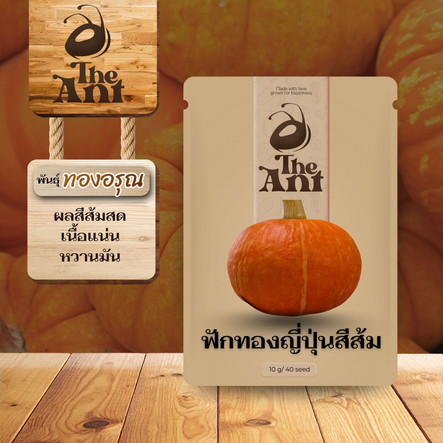 เมล็ดพันธุ์ฟักทองญี่ปุ่นสีส้ม ทองอรุณ