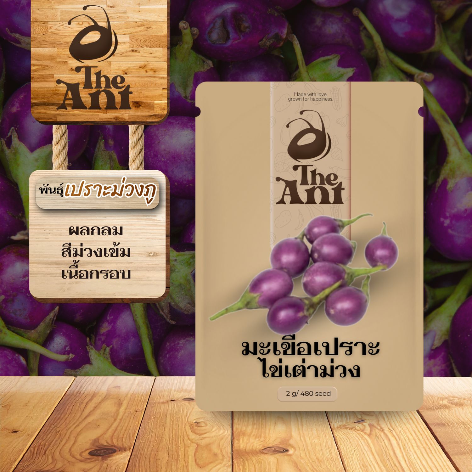 เมล็ดพันธุ์มะเขือเปราะไข่เต่าม่วง