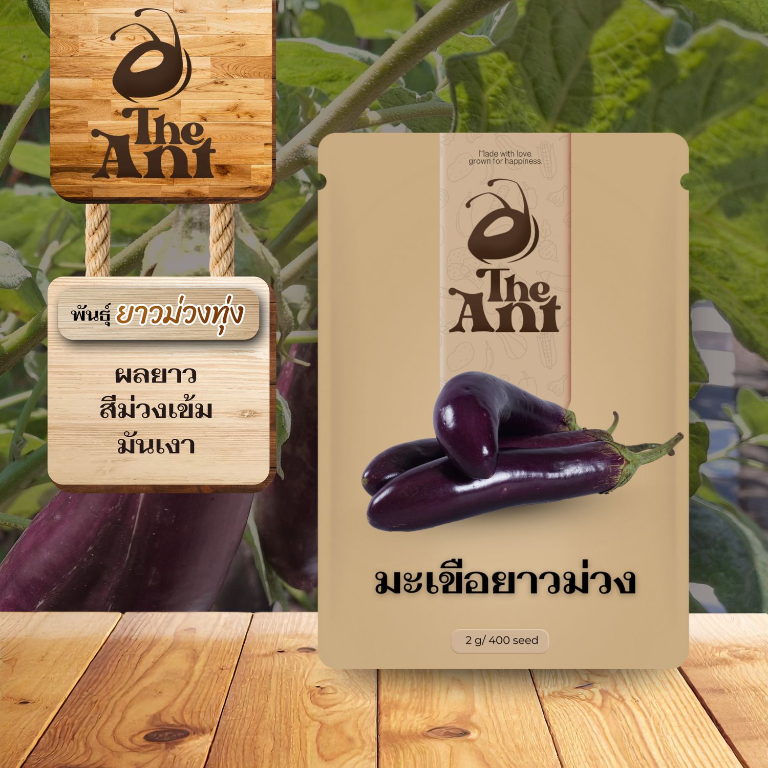 เมล็ดพันธุ์มะเขือยาวม่วง ยาวม่วงทุ่ง