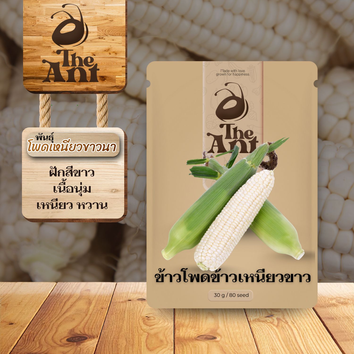 เมล็ดพันธุ์ข้าวโพดข้าวเหนียวขาว โพดเหนียวขาวนา