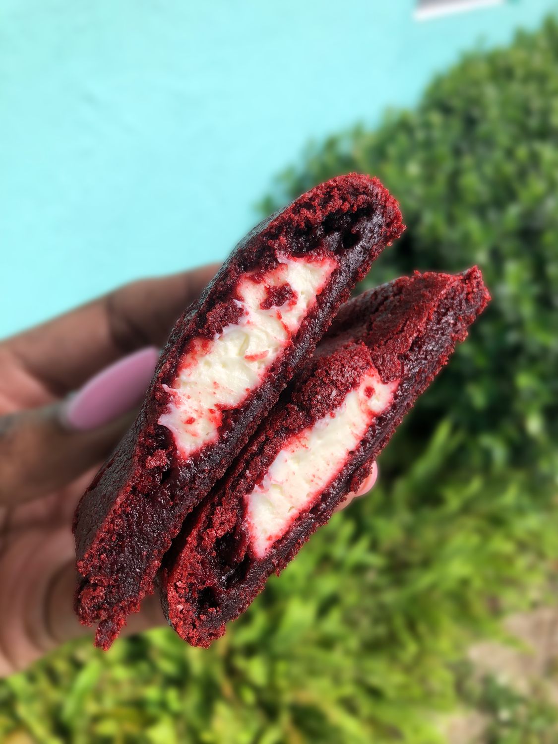 Stuffed Cookies (2 Cookies)