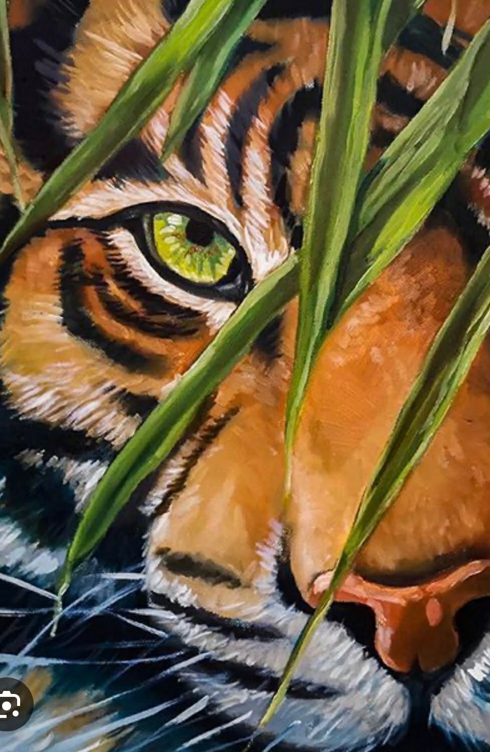 February 19 - Tiger - Family Friendly