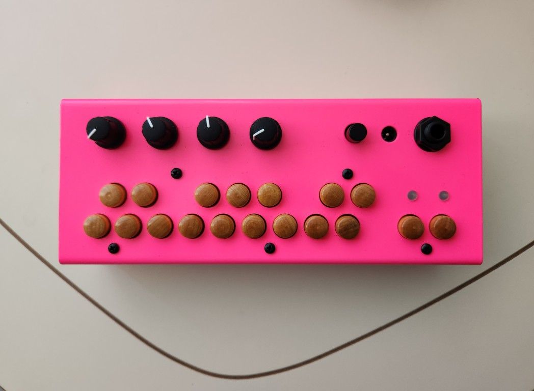 Critter & Guitari Bolsa Bass