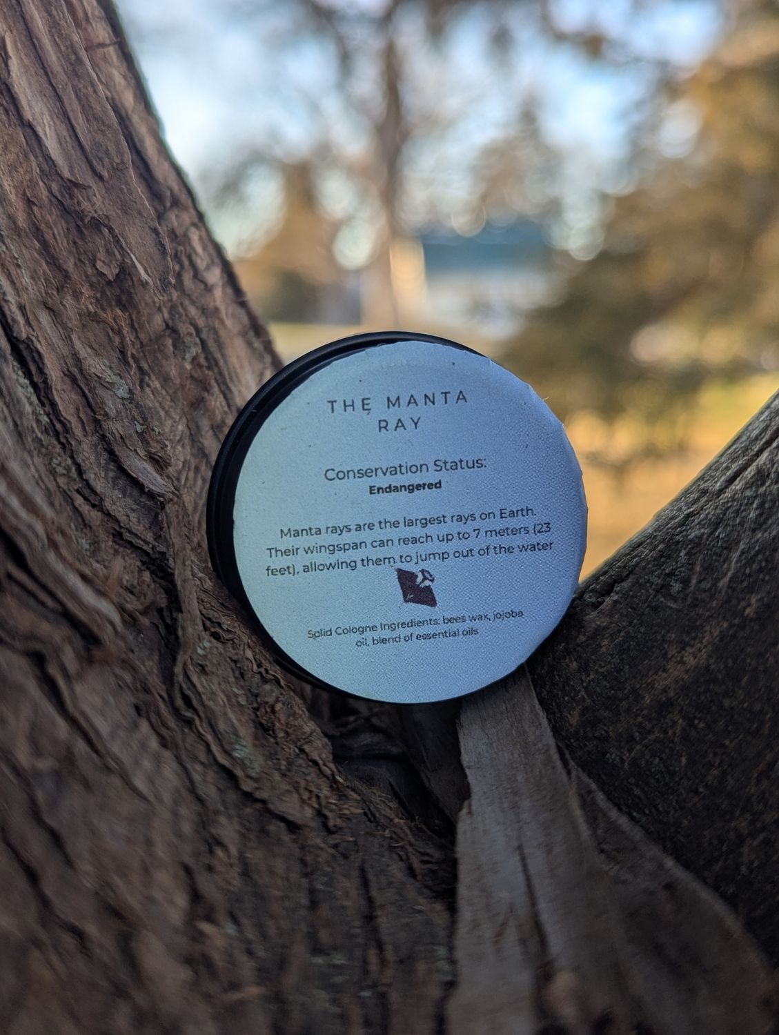 The Manta Cologne