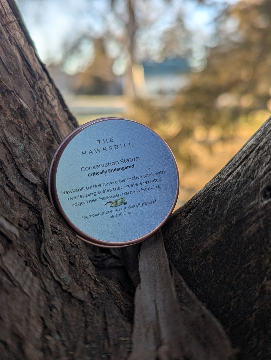 The Hawksbill Perfume