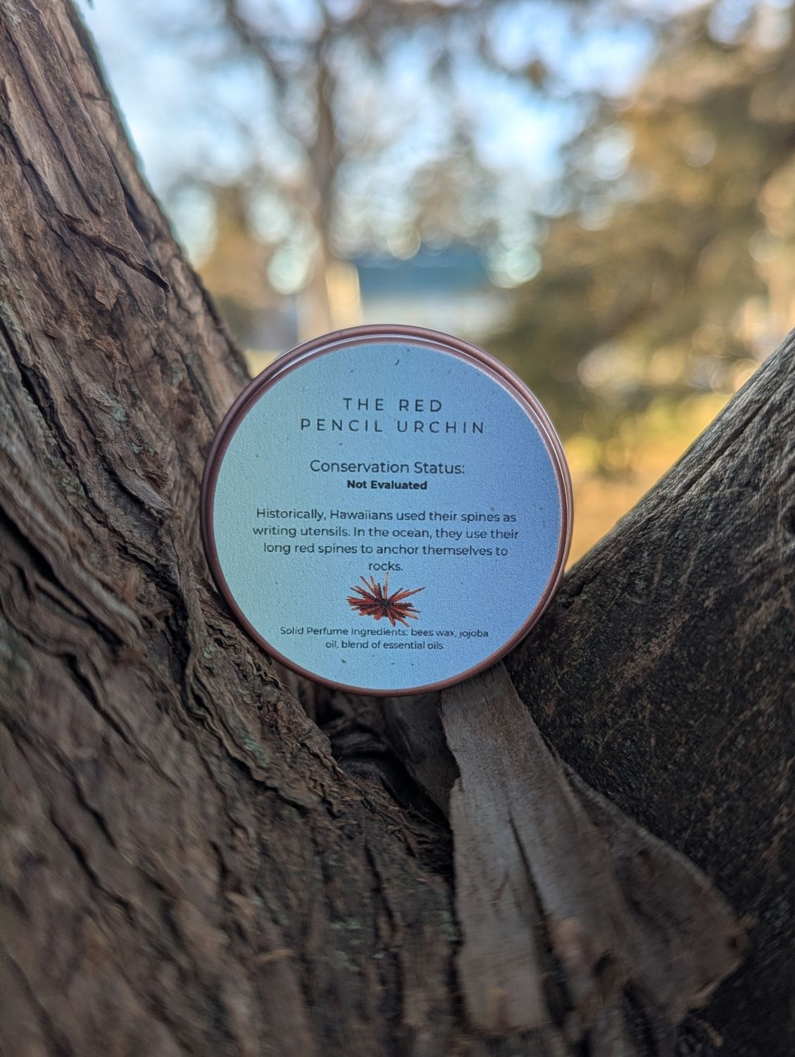 The Red Pencil Sea Urchin Perfume