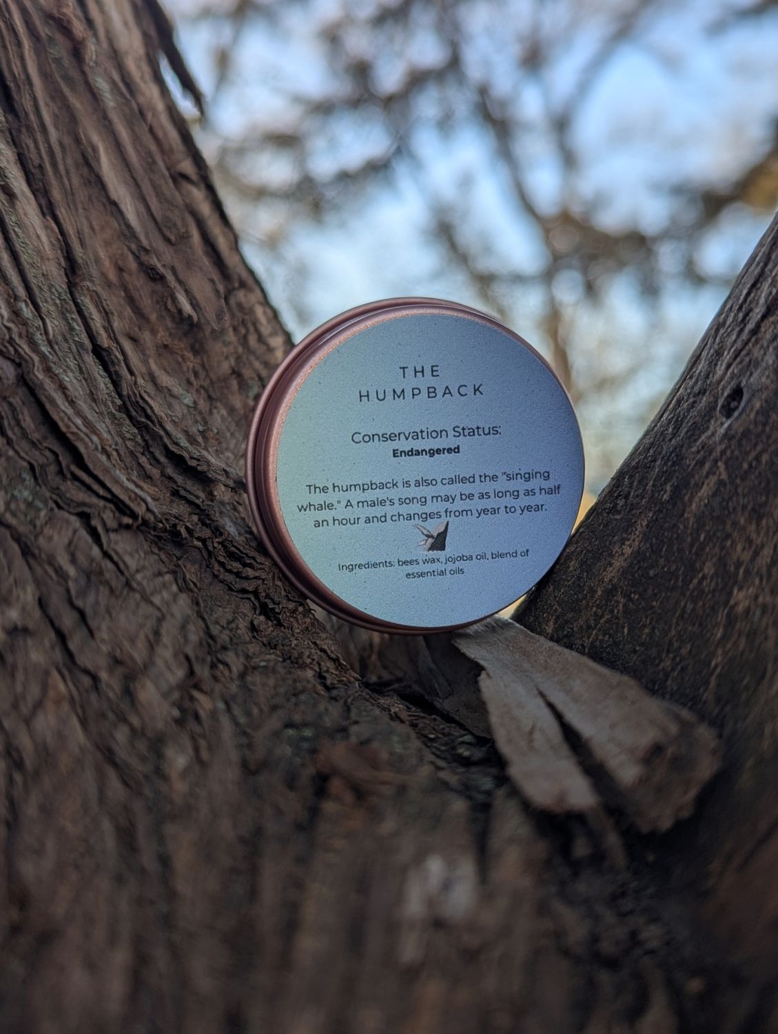 The Humpback Perfume