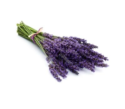 ​Parfum sauna Lavande Relaxante 200G