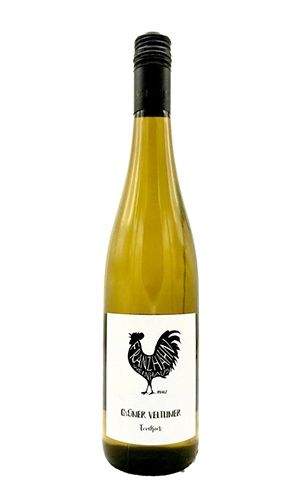 Franz Hahn - Grüner Veltliner trocken