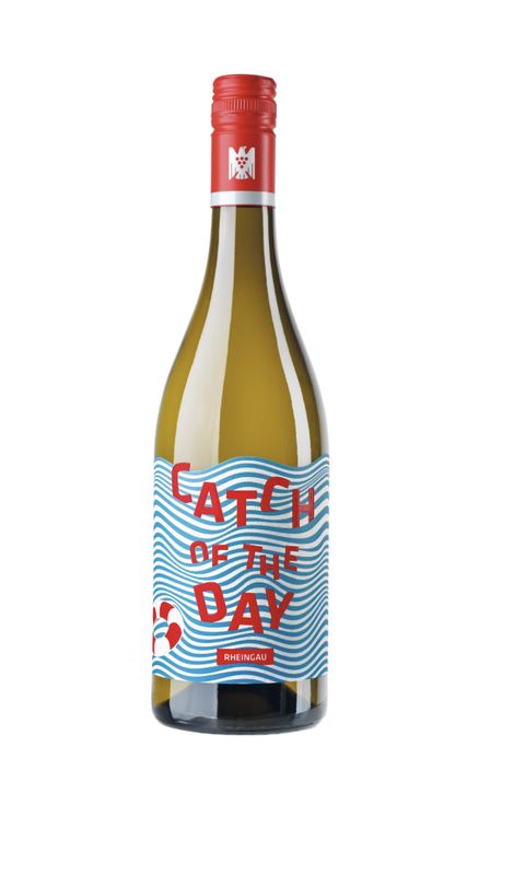 Kaufmann - Catch of the Day