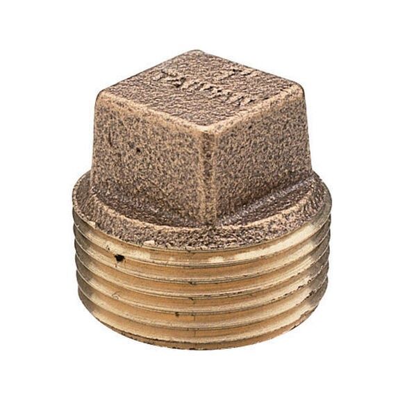 Brass Plug 1-1/4"