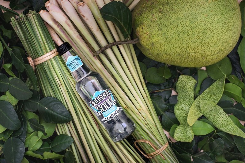 Siamese Tonic โทนิค