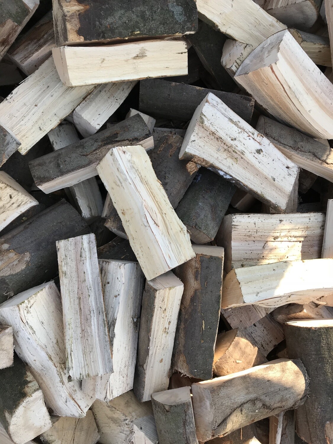 Brennholz Erle, frisch