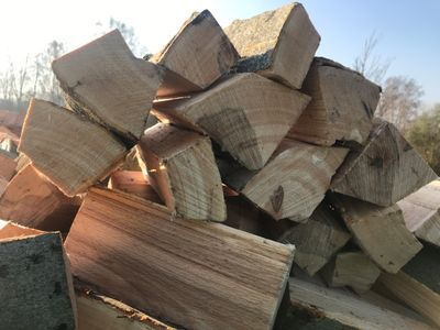 Kaminholz 50cm, frisch