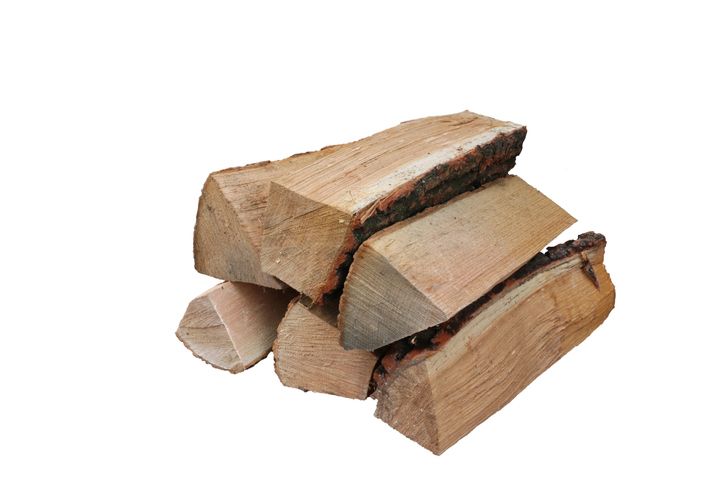 Buche 25cm, frisch