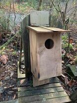 Owl Box
