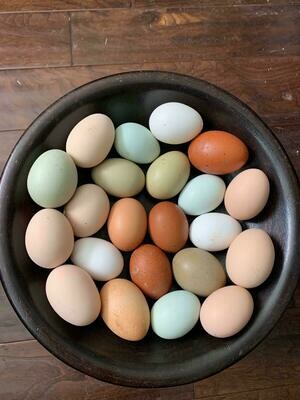 Rainbow Hatching Eggs - Chicken Rainbow Pack - 1 dozen