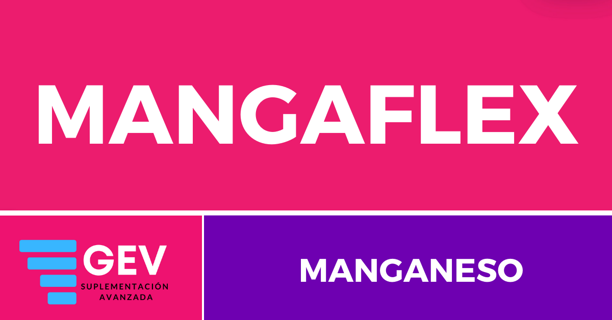 MANGANESO (MANGAFLEX)