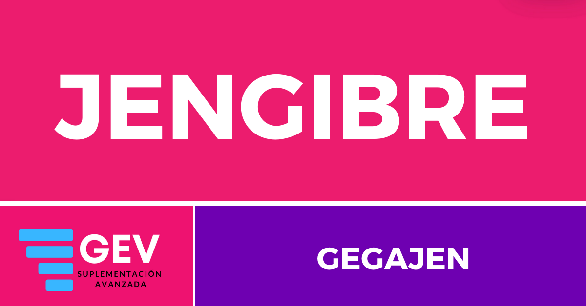 JENGIBRE (GEGAJEN)