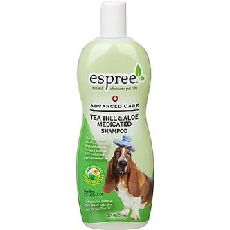 Tea Tree &amp; Aloe Shampoo