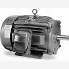 XM251542T MOTOR