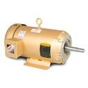 EJMM3611T 3HP MOTOR