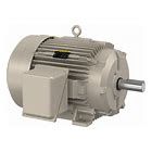 FDEM4400T 100HP MOTOR