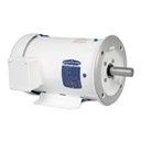 CEWDM3610T 3HP MOTOR