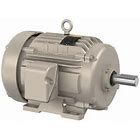 FDEM2334T 20HP MOTOR