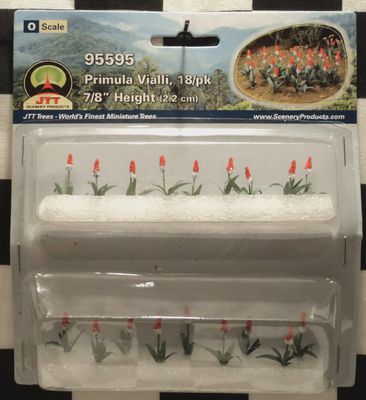 95595 - Primula Vialli