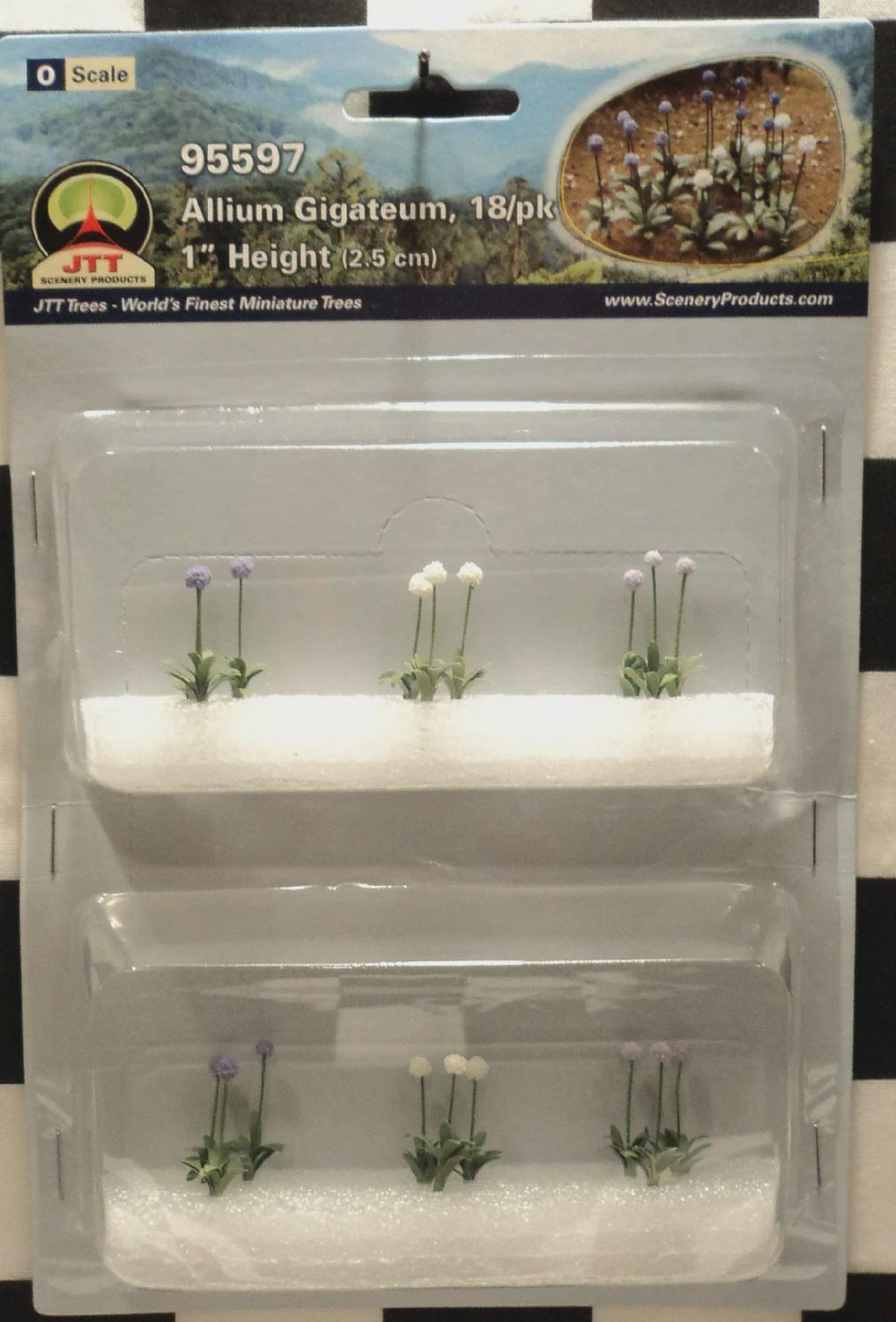 95597 - Allium Gigateum