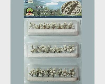 95591 - Cotton Plants