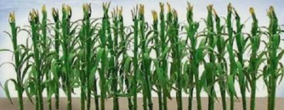 95553 jtt - Corn Stalks 28 Pack / 2"