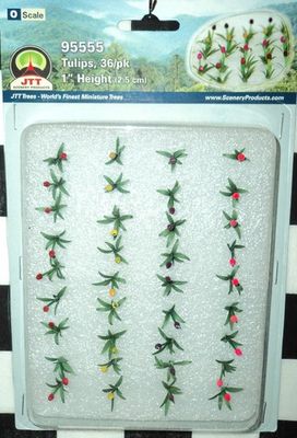 95555 jtt - Tulips Variety Color Asortment / 1"