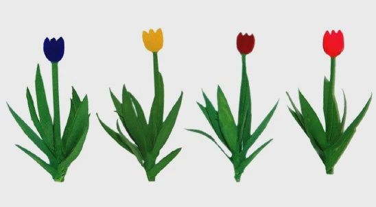 95555 jtt - Tulips Variety Color Asortment / 1"