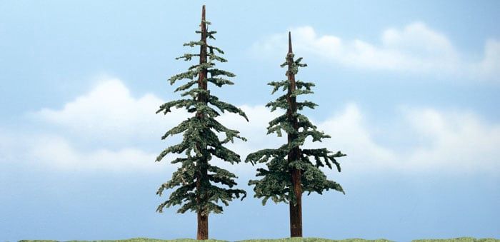 1628 - Lodgepole