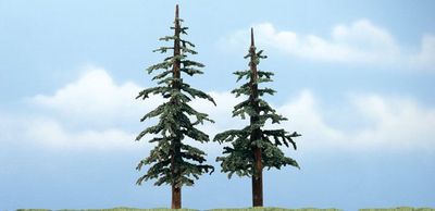 1628 - Lodgepole