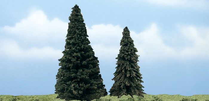 1626 - Evergreen