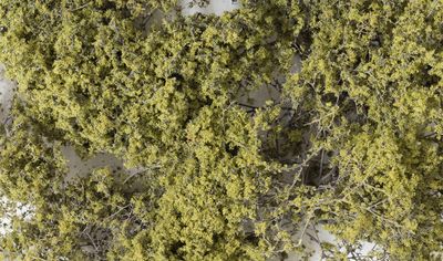 1133 - Fine-Leaf Foliage™ Olive Green