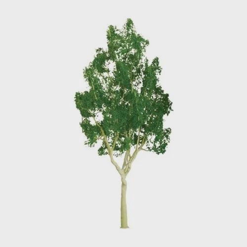 96030 - Mountain Gum 6'' Pro Pack