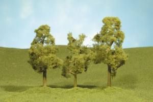 32009 - Sycamore Trees 3”-4”/3pc