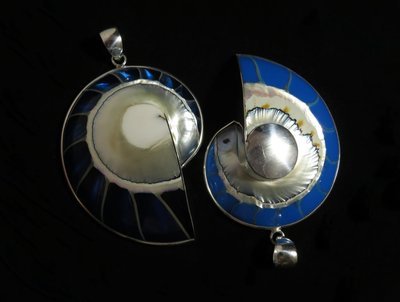 Nautilus Shell Pendant