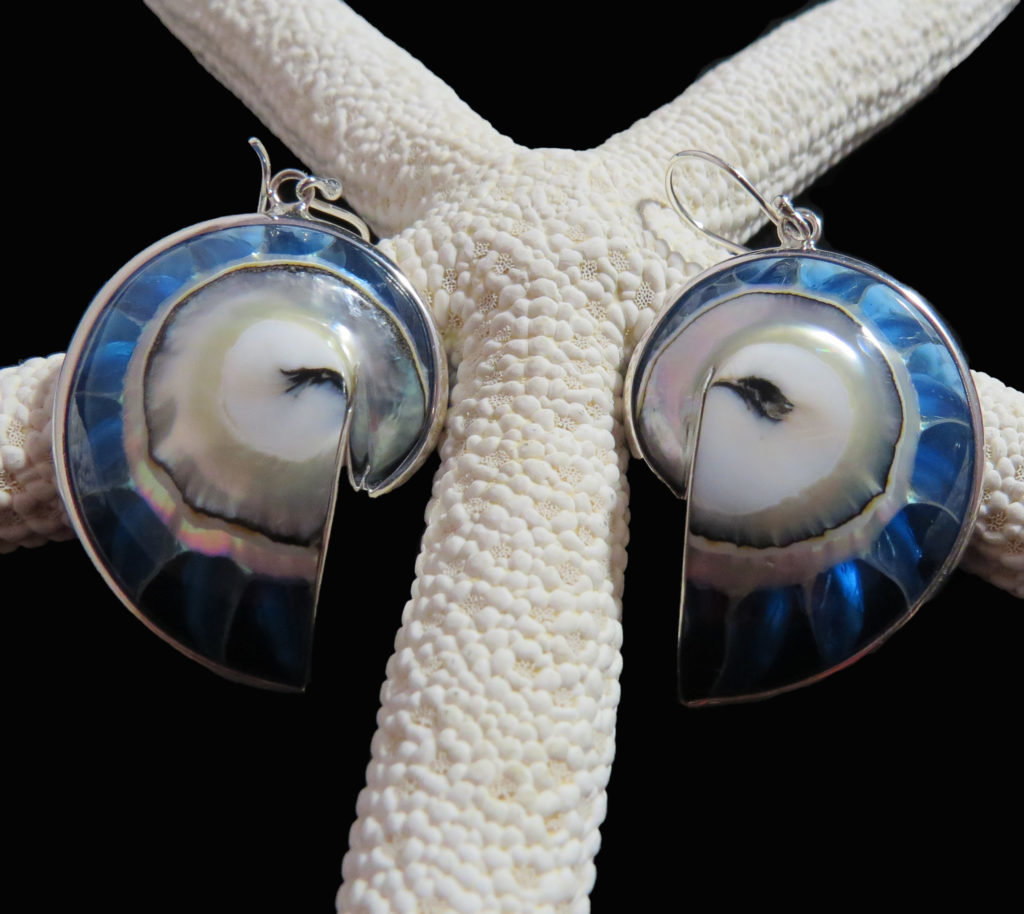 Light Blue Nautilus Shell Earrings