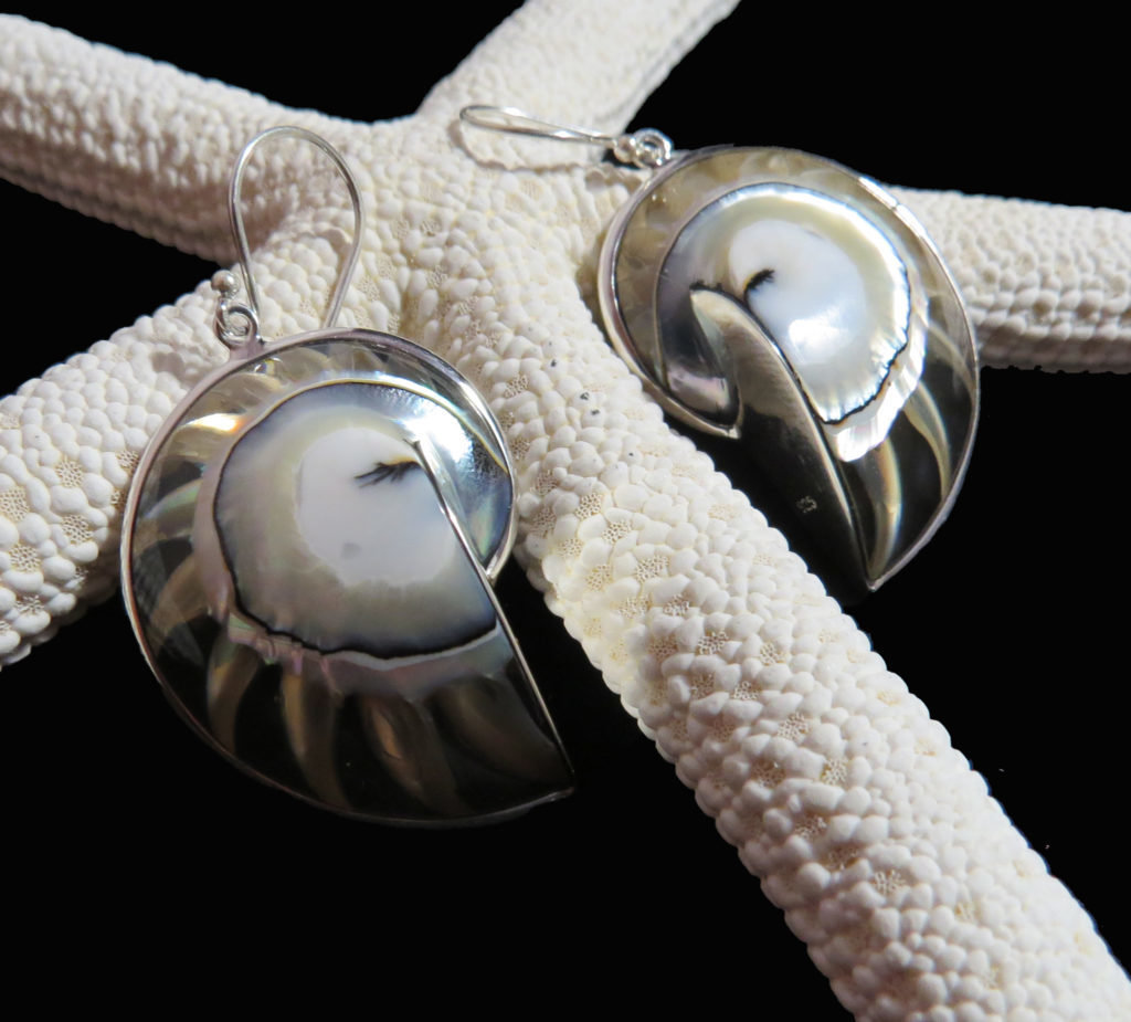 Nautilus Shell Clear Earrings