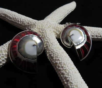 Nautilus Shell Clear Red Earrings