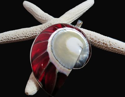Nautilus Half Clear Red Shell