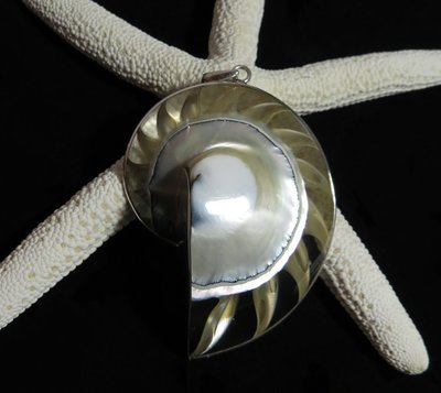 Nautilus Half Clear Shell Pendant