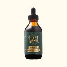The Plant Runner, Selections: Indoor Plant Food