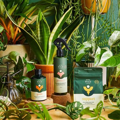 We The Wild — Organic Plant Care Essentials