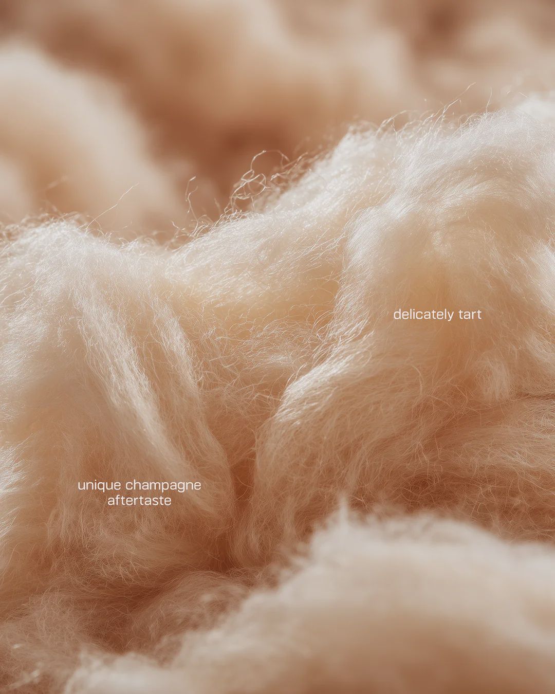 Fluffe Fairy Floss, Flavour: Champagne